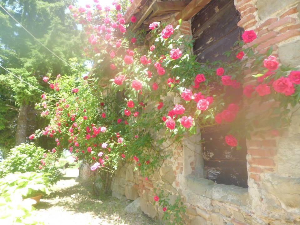 Отель Bottega Di Montegiovi Scopeti Экстерьер фото